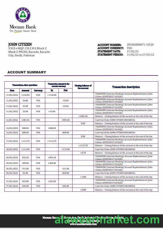 Pakistan Meezan bank statement template in Word and PDF format